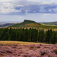 Buy canvas prints of Roseberry Topping - ...Roseberry and Pines by Trevor Camp