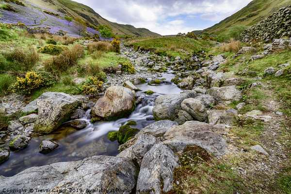 Rannerdale Beck Picture Board by Trevor Camp