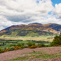 Buy canvas prints of Skiddaw by Trevor Camp