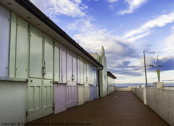 Saltburn by the Beach Huts Picture Board by Trevor Camp