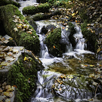 Buy canvas prints of Babbling Brook by Trevor Camp