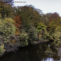 Buy canvas prints of River Aire at Dowley Gap by Trevor Camp