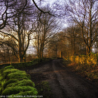 Buy canvas prints of The Bridleway by Trevor Camp