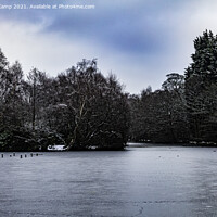 Buy canvas prints of Frozen Coppice Pond - 02 by Trevor Camp