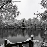 Buy canvas prints of Coppice Pond Snow - 03 by Trevor Camp