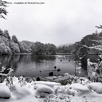Buy canvas prints of Coppice Pond Snow - 02 by Trevor Camp