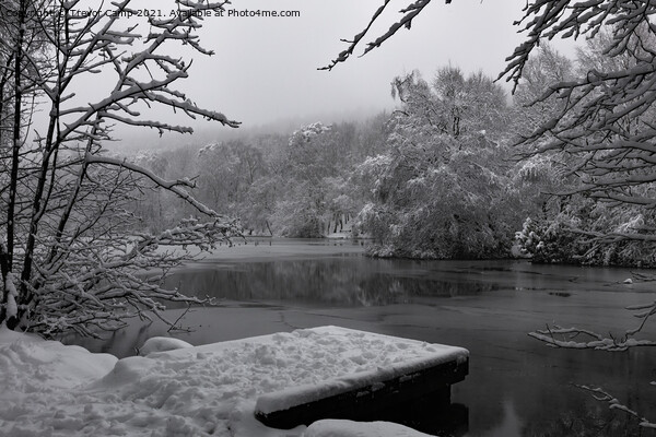 Coppice Pond Snow - 04 Picture Board by Trevor Camp