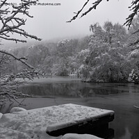 Buy canvas prints of Coppice Pond Snow - 04 by Trevor Camp