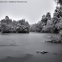 Buy canvas prints of Frozen Coppice Pond - 03 by Trevor Camp