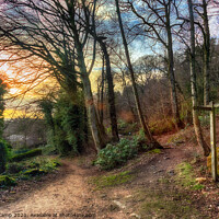 Buy canvas prints of The Signpost by Trevor Camp