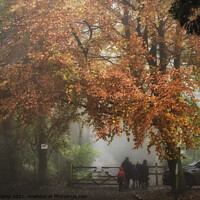 Buy canvas prints of A Walk in the Autumn Mist by Trevor Camp