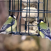 Buy canvas prints of Great Tits feeding by Trevor Camp