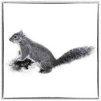 Buy canvas prints of The Grey Squirrel - Toned by Trevor Camp