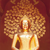 Buy canvas prints of Golden Buddha statue by stefano baldini