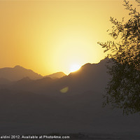 Buy canvas prints of Sunset over the Sinai desert by stefano baldini