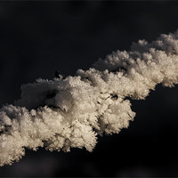 Buy canvas prints of Frost Covered Barbed Wire by Steven Clements LNPS