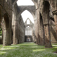 Buy canvas prints of Tintern Abbey by Catherine Joll