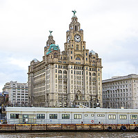 Buy canvas prints of Liver Building, Liverpool. by Catherine Joll
