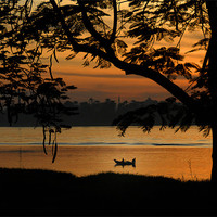 Buy canvas prints of Fishing at sunset by David Worthington
