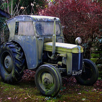 Buy canvas prints of Disused tractor by David Worthington