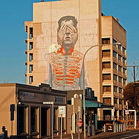 Buy canvas prints of Street art mural  by David Worthington
