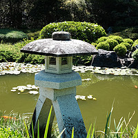 Buy canvas prints of Japanese garden lake  by David Worthington