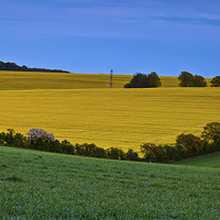 Buy canvas prints of British Colourful field view in Summer by Kat Arul