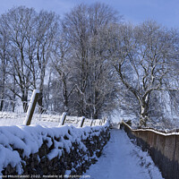 Buy canvas prints of Footpath, St Margaret's Church, Hawes, Wensleydale by Louise Heusinkveld