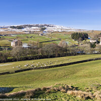 Buy canvas prints of Langthwaite, Arkengarthdale, Yorkshire Dales National Park by Louise Heusinkveld