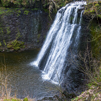 Buy canvas prints of Aysgill Force, Gayle Beck, Wensleydale, North Yorkshire by Louise Heusinkveld