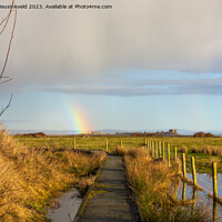Buy canvas prints of South Walney Nature Reserve, Cumbria by Louise Heusinkveld