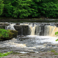Buy canvas prints of Aysgarth Falls, Wensleydale, Yorkshire by Louise Heusinkveld