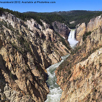 Buy canvas prints of Yellowstone River Lower Falls by Louise Heusinkveld