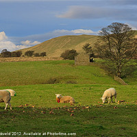 Buy canvas prints of Mallerstang Dale, Cumbria, UK by Louise Heusinkveld
