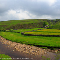 Buy canvas prints of Swaledale, Yorkshire Dales by Louise Heusinkveld