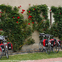 Buy canvas prints of Bicycles Parked by the Wall by Louise Heusinkveld