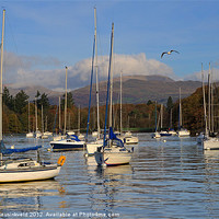 Buy canvas prints of Sailboats in Bowness-on-Windermere by Louise Heusinkveld