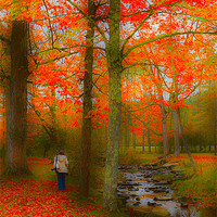 Buy canvas prints of Walking by the Stream by Louise Heusinkveld