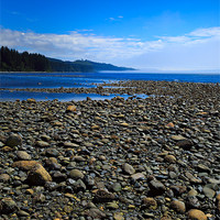 Buy canvas prints of Pebble beach at low tide by Louise Heusinkveld
