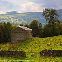 Buy canvas prints of Stone barn in Wensleydale by Louise Heusinkveld