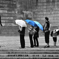 Buy canvas prints of Rainy Day Queue by Louise Heusinkveld