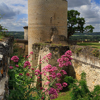 Buy canvas prints of Tour du Coudray, Chateau Chinon, Loire Valley by Louise Heusinkveld