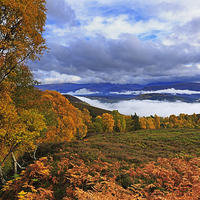 Buy canvas prints of Misty day in the Cairngorms in Autumn by Louise Heusinkveld