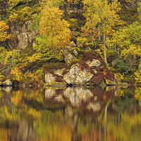 Buy canvas prints of Reflections of Autumn by Louise Heusinkveld