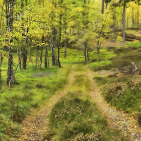 Buy canvas prints of Track Through the Autumn Woods by Louise Heusinkveld
