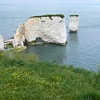 Buy canvas prints of Old Harry Rocks, Handfast Point, Jurassic Coast, D by Louise Heusinkveld