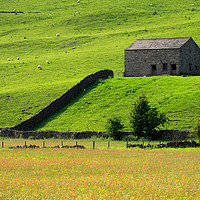 Buy canvas prints of Stone barn and sheep grazing on a steep hillside,  by Louise Heusinkveld