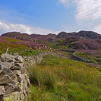 Buy canvas prints of High Crag and Willygrass Gill above Stonethwaite i by Louise Heusinkveld