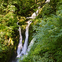 Buy canvas prints of Stock Ghyll Force, Ambleside, Lake District, Cumbr by Louise Heusinkveld