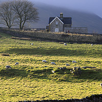 Buy canvas prints of Ribblehead Station and Ingleborough, North Yorkshi by Louise Heusinkveld